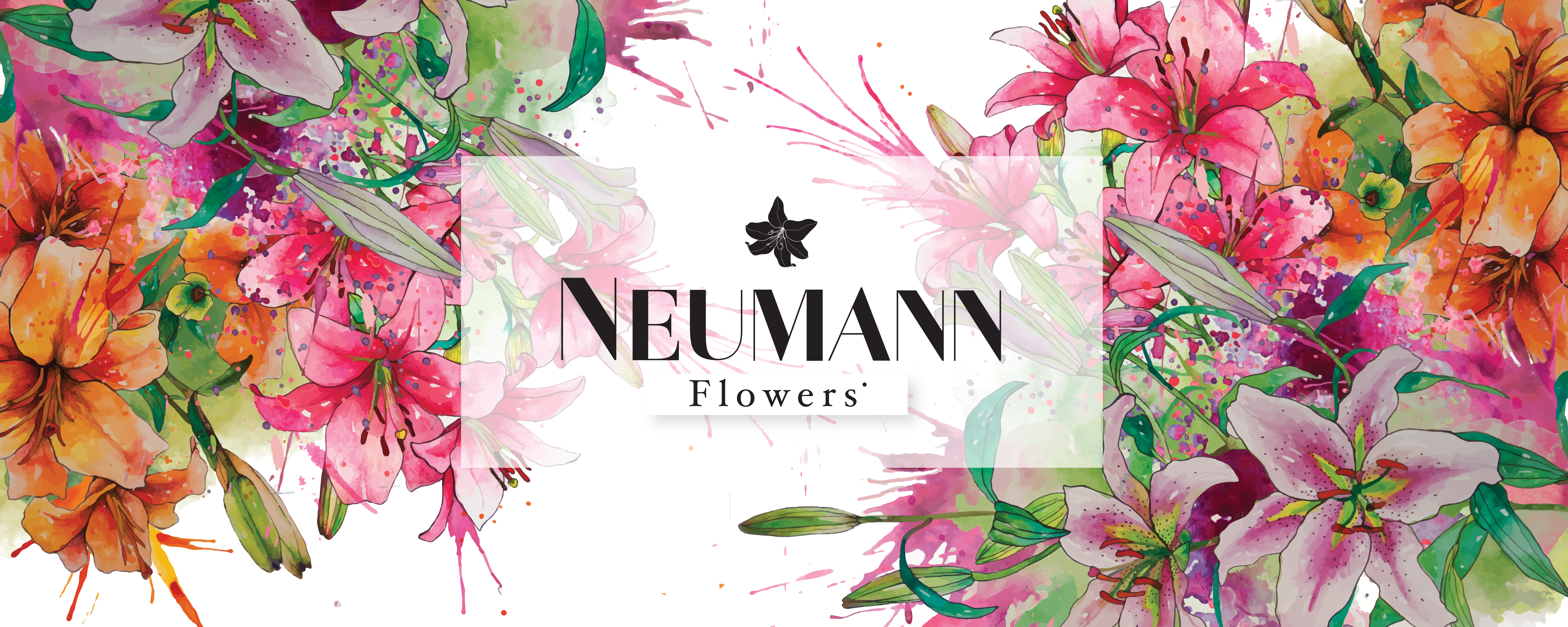 Neumann Flowers 